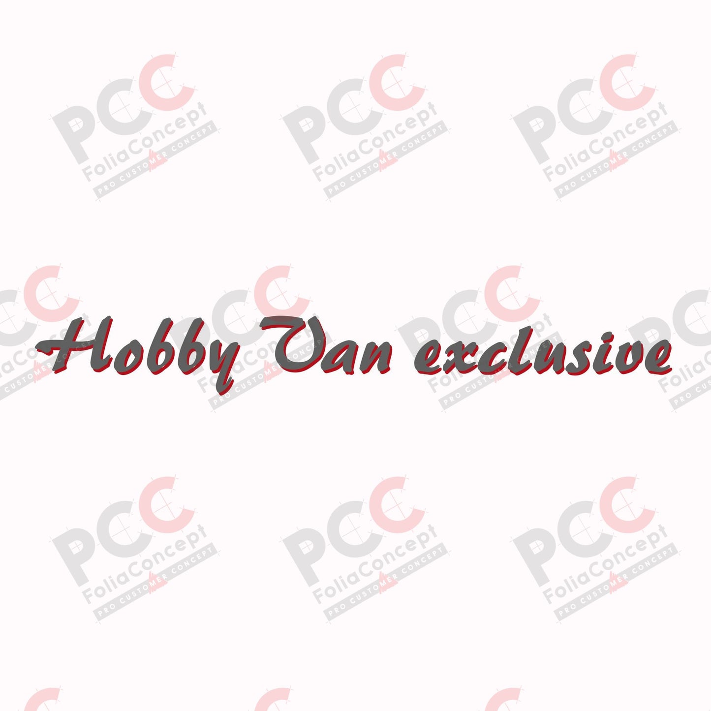 SZ Hobby Van exclusive grau/rot