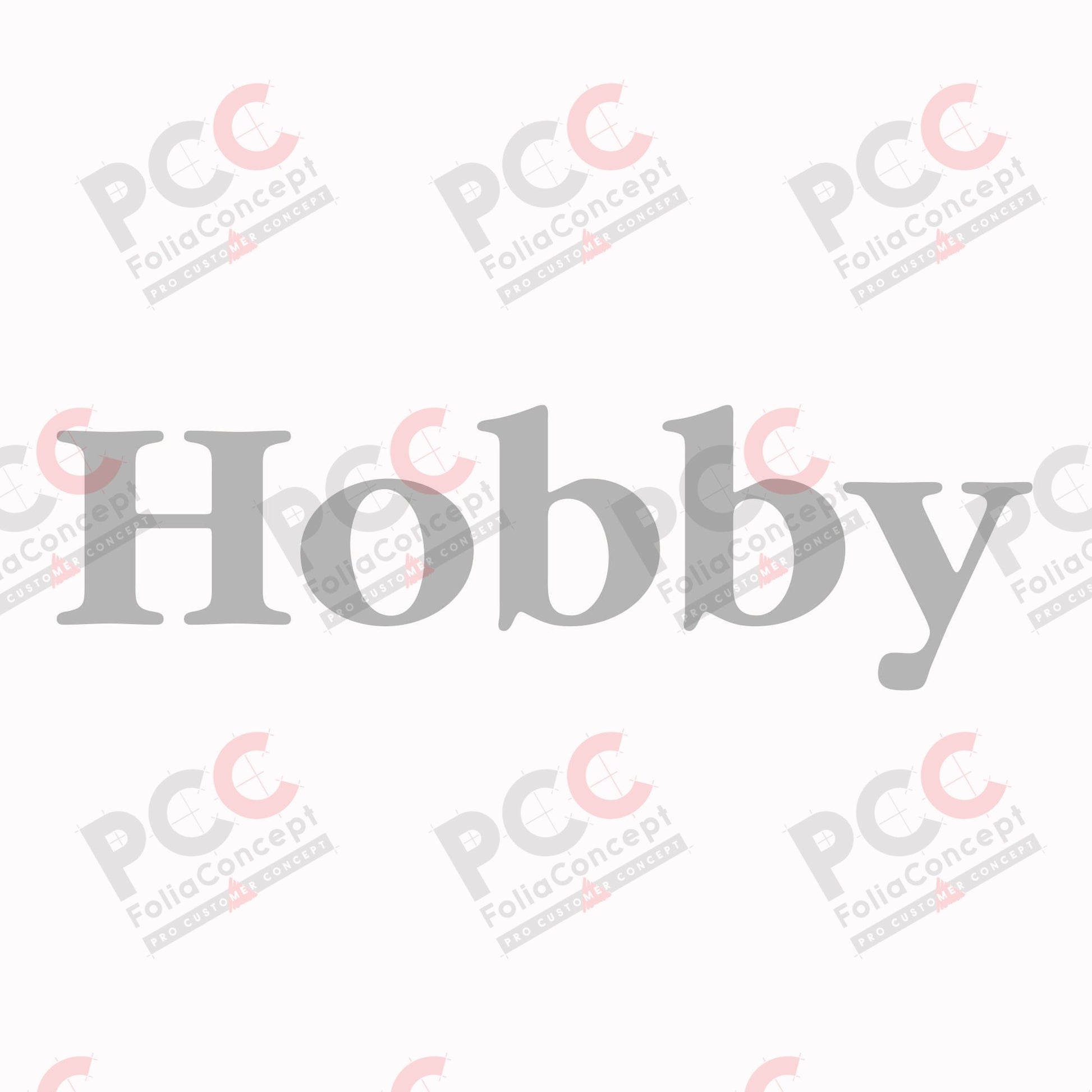 Schriftzug "Hobby" - silber