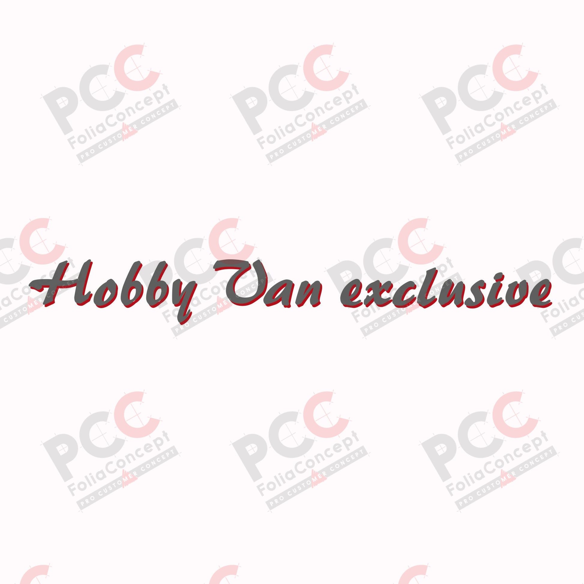 SZ Hobby Van exclusive grau/rot