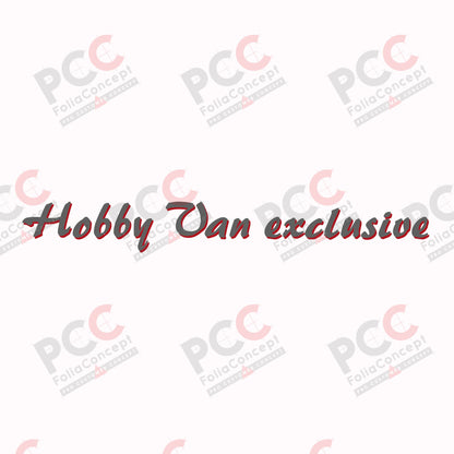 SZ Hobby Van exclusive grau/rot