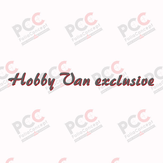 SZ Hobby Van exclusive grau/rot