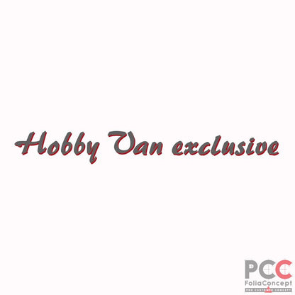 SZ Hobby Van exclusive grau/rot