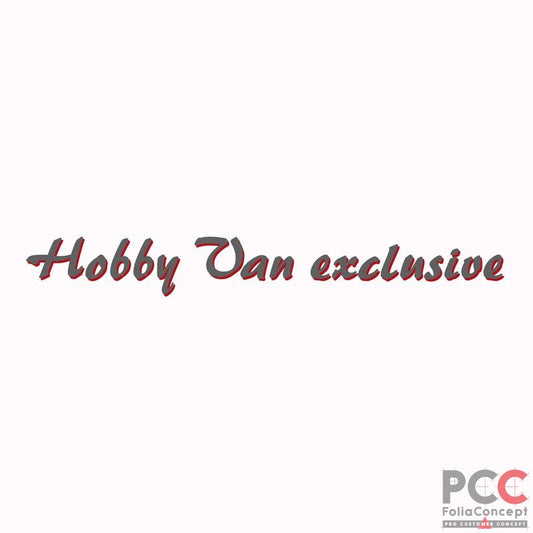 SZ Hobby Van exclusive grau/rot