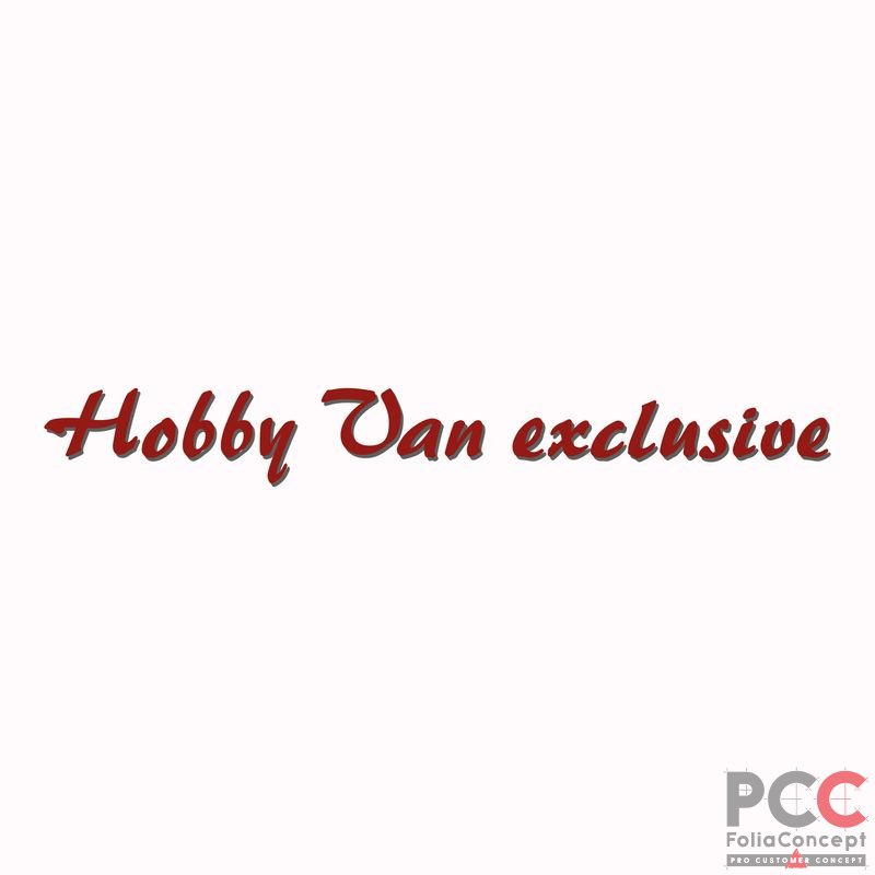 SZ Hobby Van exclusive rotbr/grau