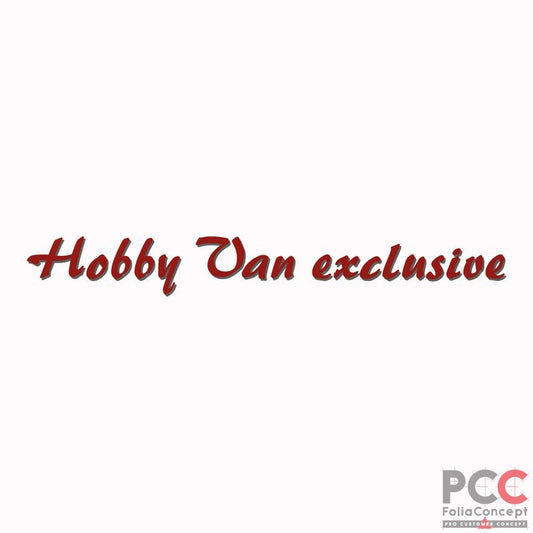 SZ Hobby Van exclusive rotbr/grau