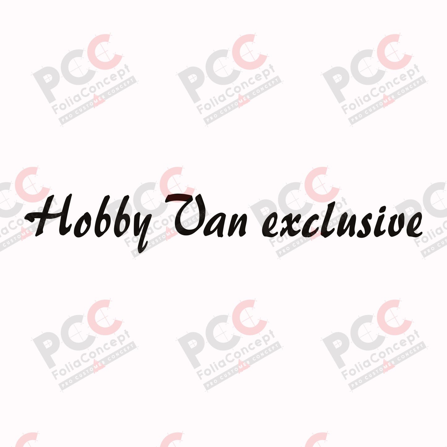 SZ Hobby Van exclusive schwarz