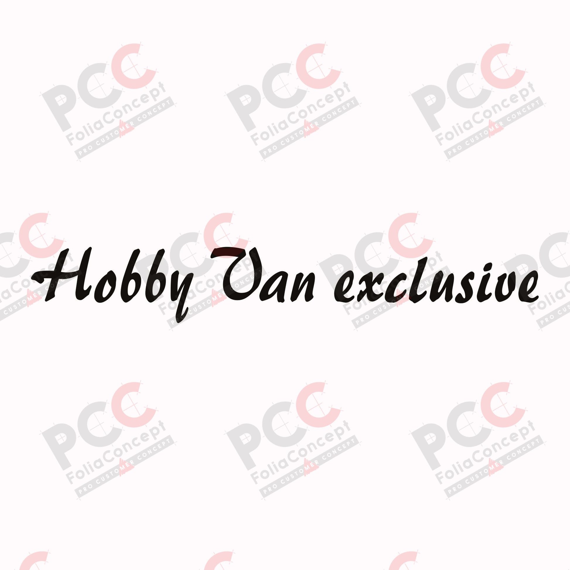 SZ Hobby Van exclusive schwarz