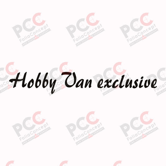 SZ Hobby Van exclusive schwarz