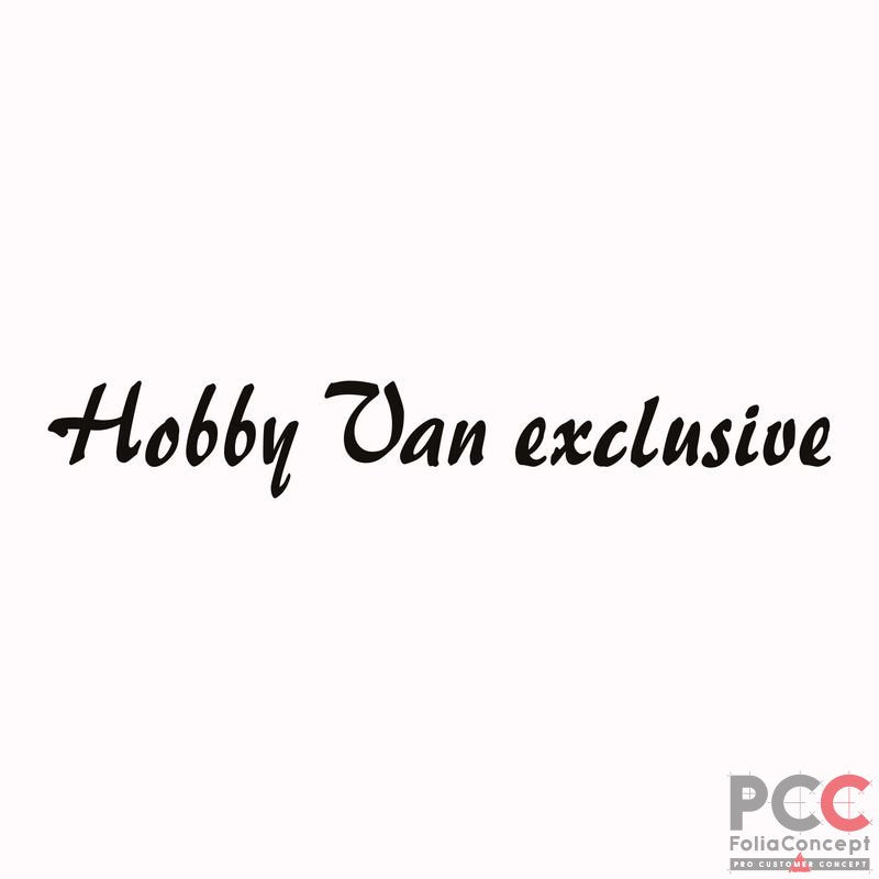 SZ Hobby Van exclusive schwarz