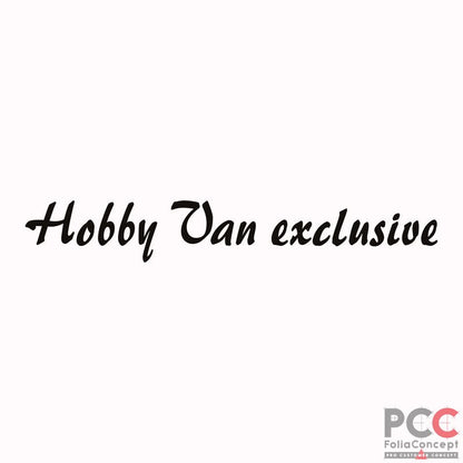 SZ Hobby Van exclusive schwarz