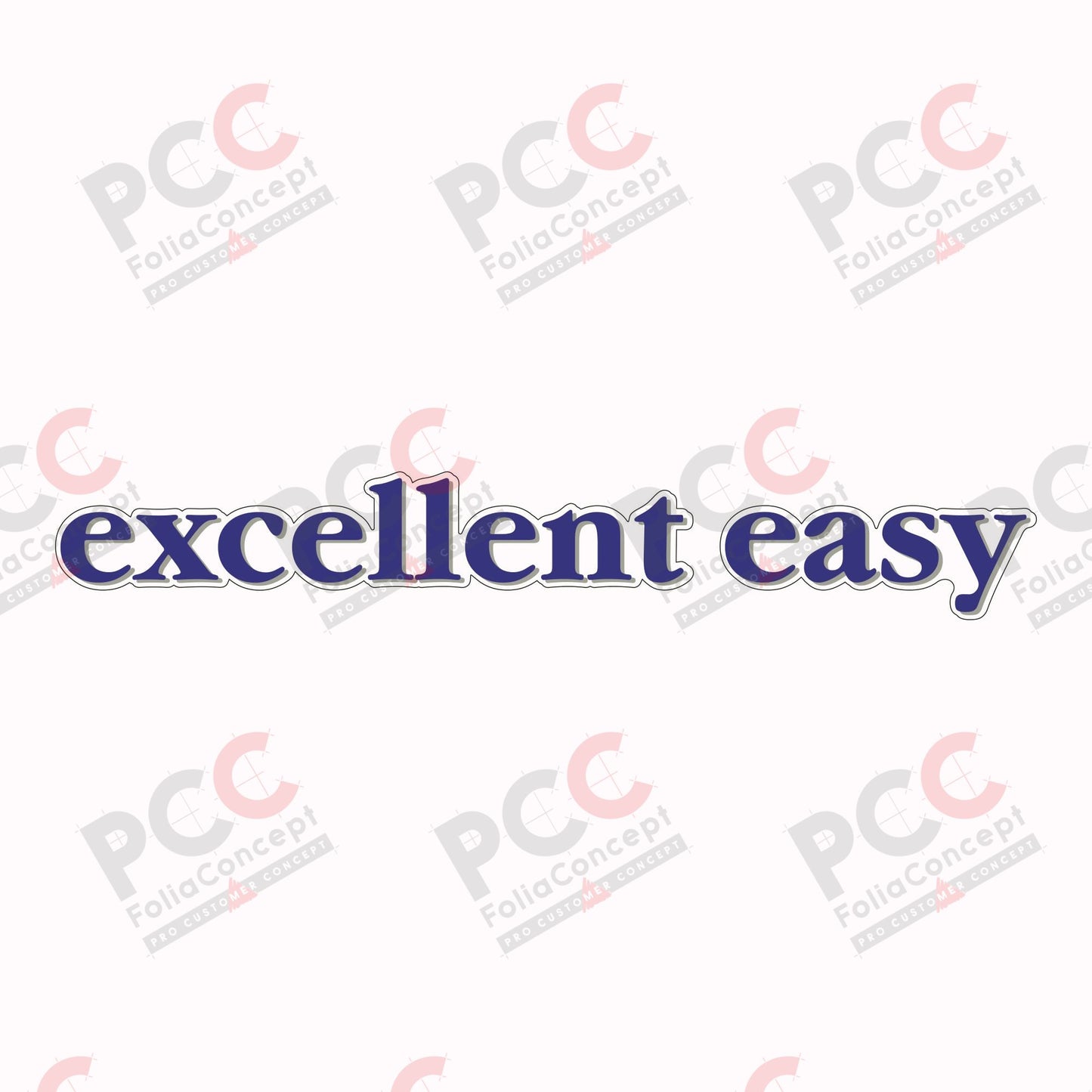 Schriftzug - excellent easy -