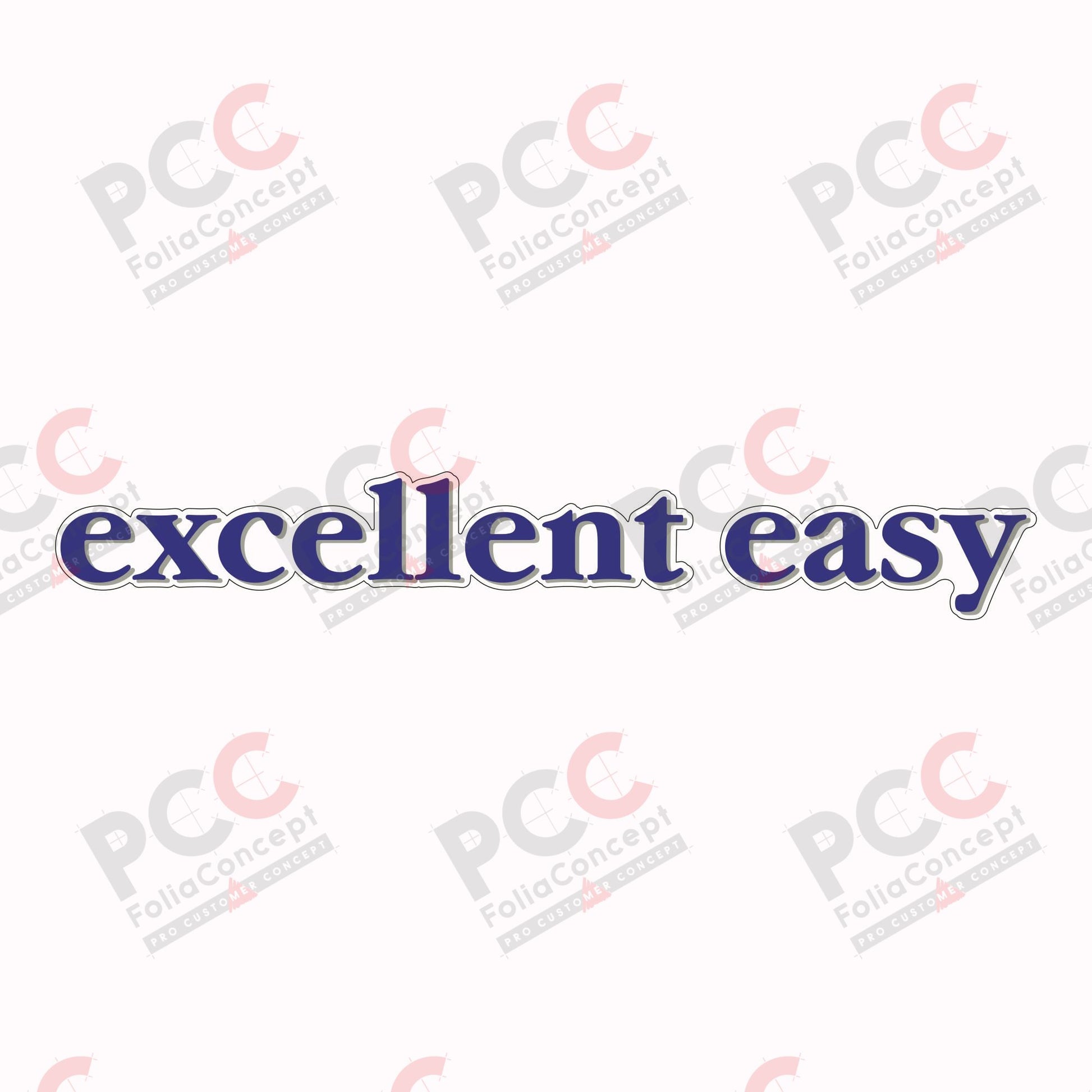 Schriftzug - excellent easy -