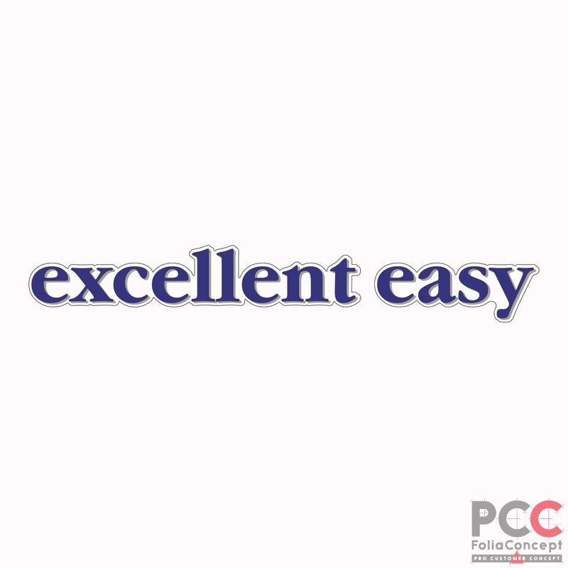 Schriftzug - excellent easy -