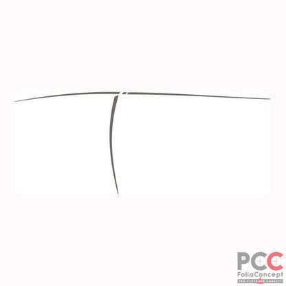 Aufkleber DS Linie carbon 2-teilig - links
